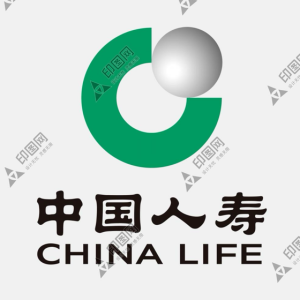 中国人寿保险股份有限公司淄博市博山区支行